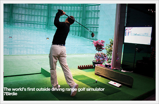 Golf Simulator -7 Birdie  Made in Korea